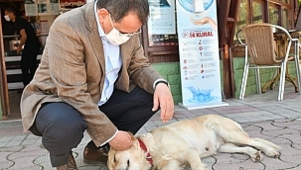 Büyükşehir Mama Ve Su Kabı Üretti