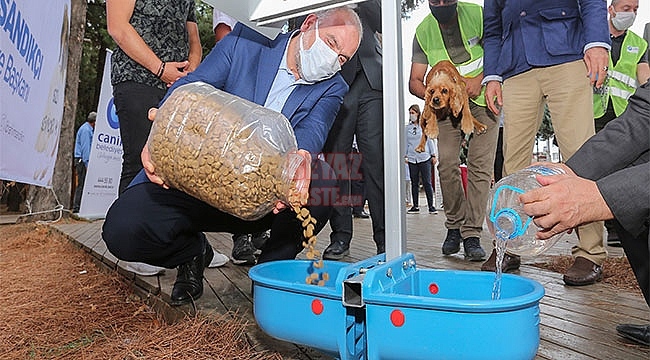 Canik'ten Hayvan Hakları Koruma Günü Etkinliği