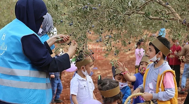 Yetim Çocuklar Barış ve Kardeşlik İçin Zeytin Topladı