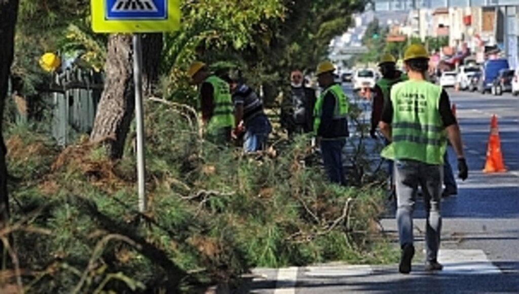 Büyükşehir'den 'Kış' Bakımı