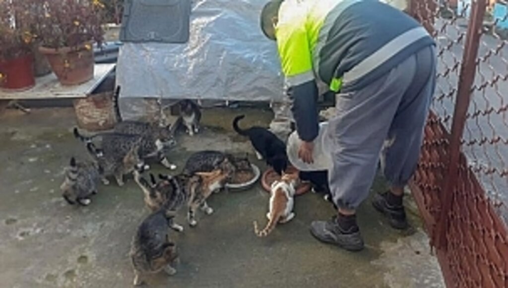 Canik'te Can Dostlar Emin Ellerde