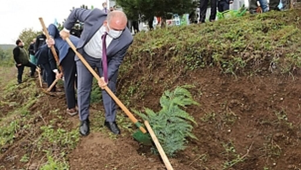 Canik'te Fidanlar 'Geleceğe Nefes' İçin Dikildi