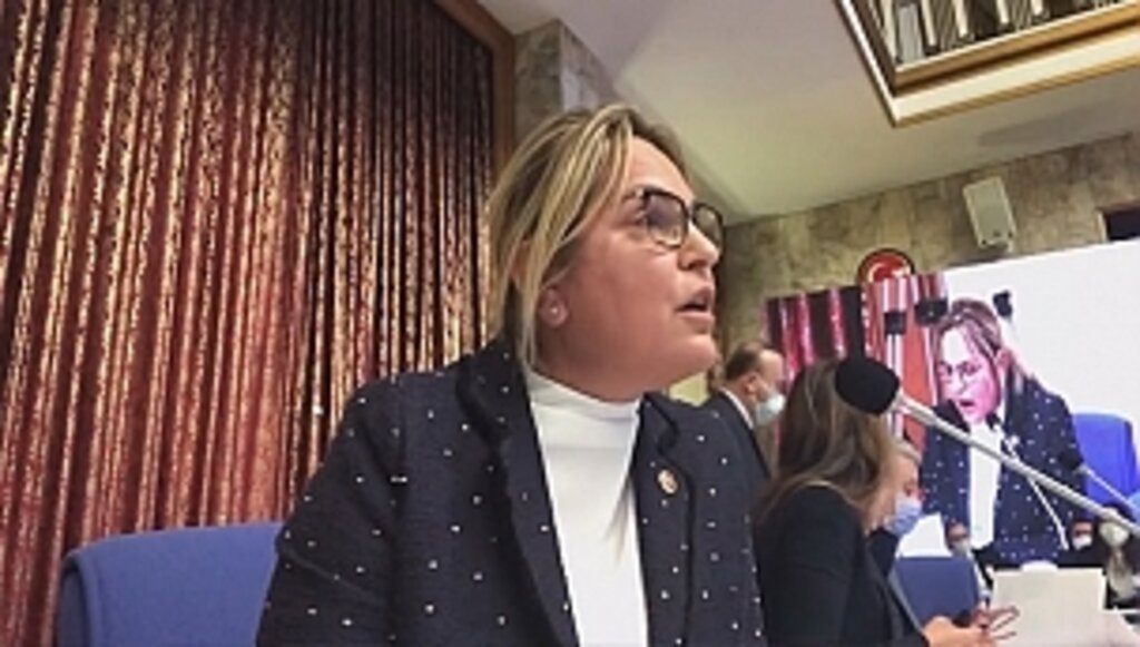 Hancıoğlu ve arkadaşları, teklifi Meclis'e sundu, Bakan Koca'ya çağrı yaptı.