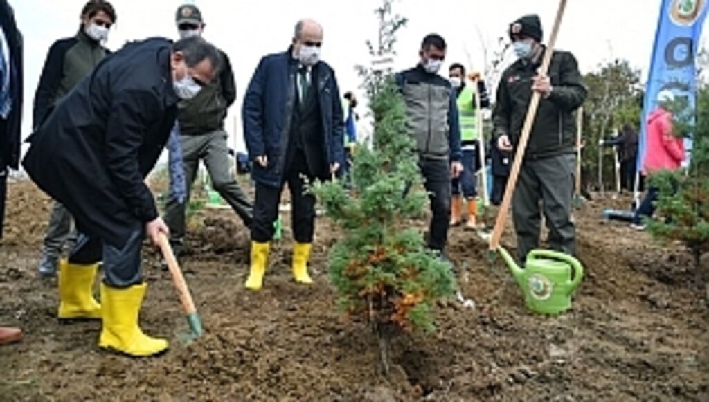 Samsun'da Milli Ağaçlandırma Günü