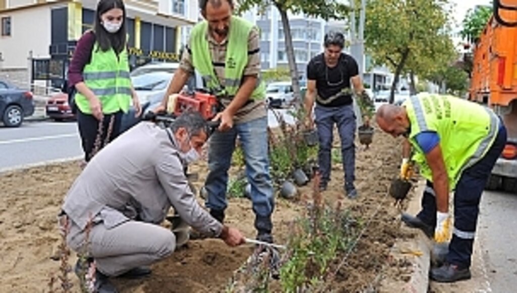 Samsun Kış Peyzajıyla Rengârenk Olacak