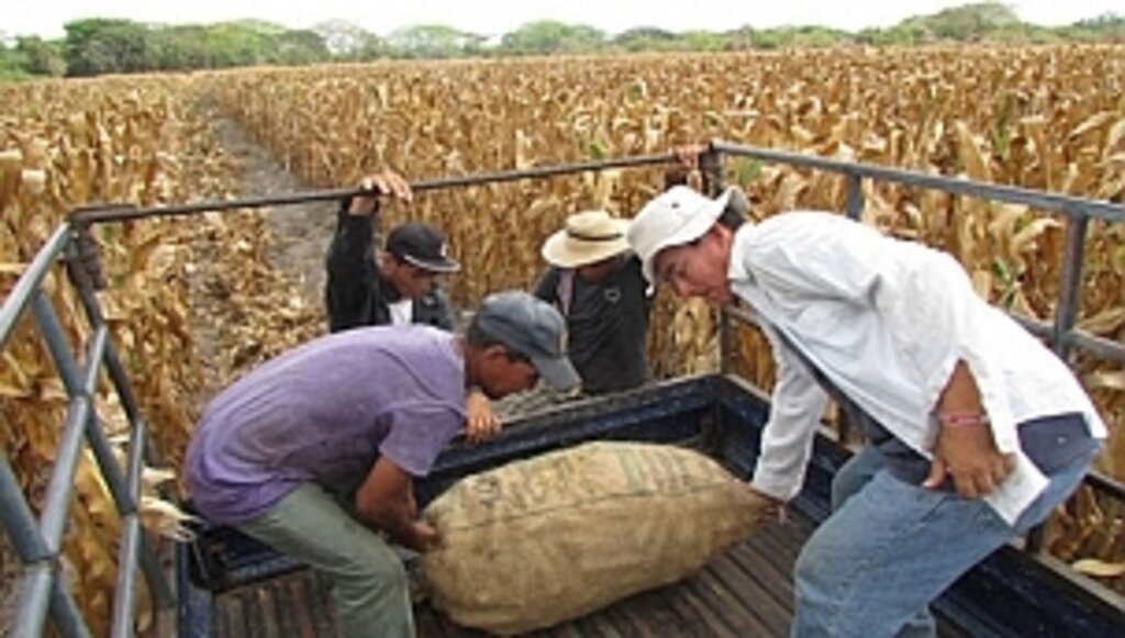 Tarımsal Amaçlı Kooperatiflerin Borçları Yapılandırılıyor