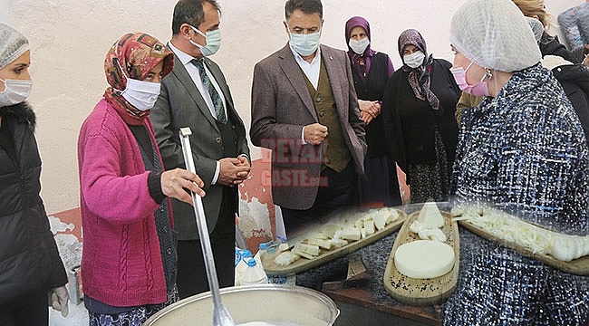 Üretilen Doğal Peyniri Büyük Şehirlere Taşıyacak