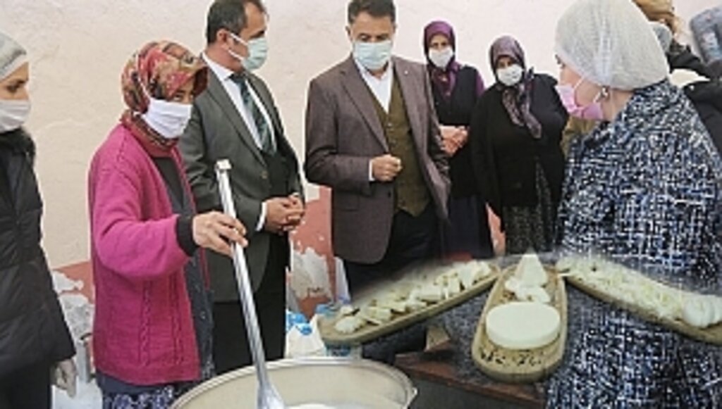 Üretilen Doğal Peyniri Büyük Şehirlere Taşıyacak