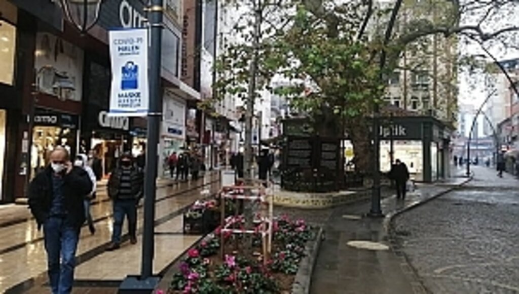 Asırlık Çınar Ağacının Yanına Yeni Bir Çınar Fidanı Dikildi