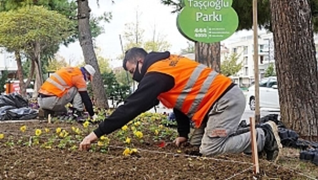 Atakum'da Parklara Kış Bakımı! 