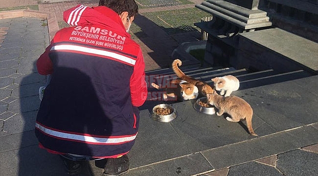 Büyükşehir Onları Hiç Unutmadı