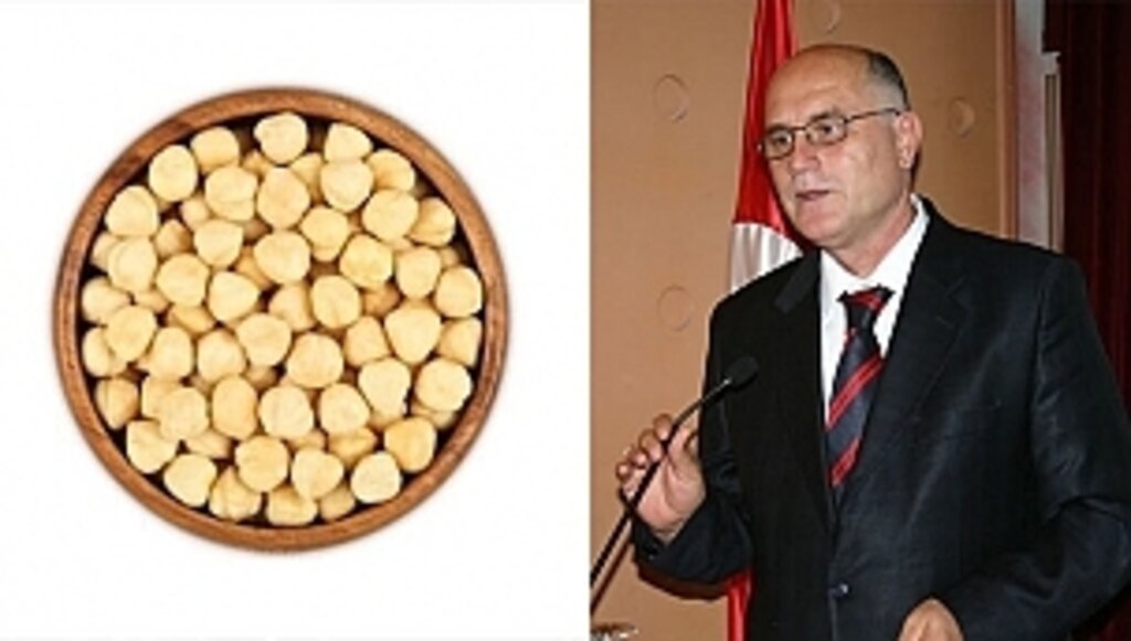 Fındık İhracatında Düşüş Devam Ediyor…