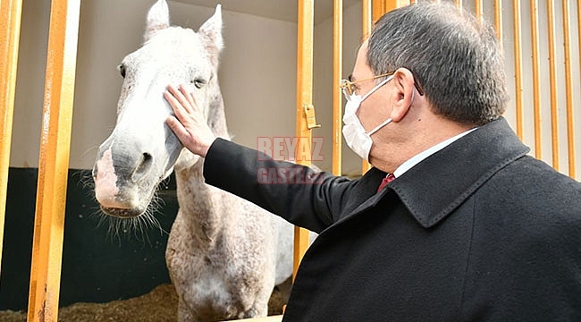 Karadeniz'in En Büyük Binicilik Tesisi Yenilenecek