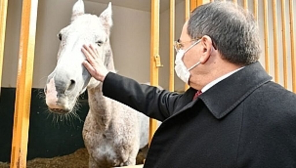 Karadeniz'in En Büyük Binicilik Tesisi Yenilenecek