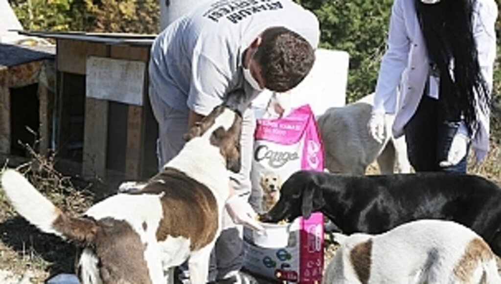 Patili Dostlara Mama Desteği 5 Tonu Aştı