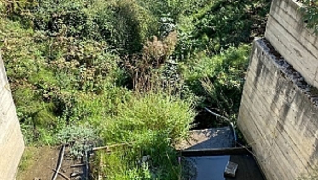 Sazak Deresi Islah Ediliyor