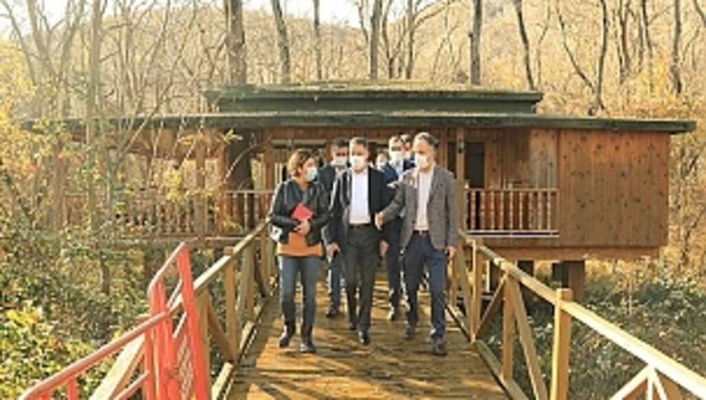 Başkan Deveci, Çakırlar Korusu'nda İnceleme Yaptı!...