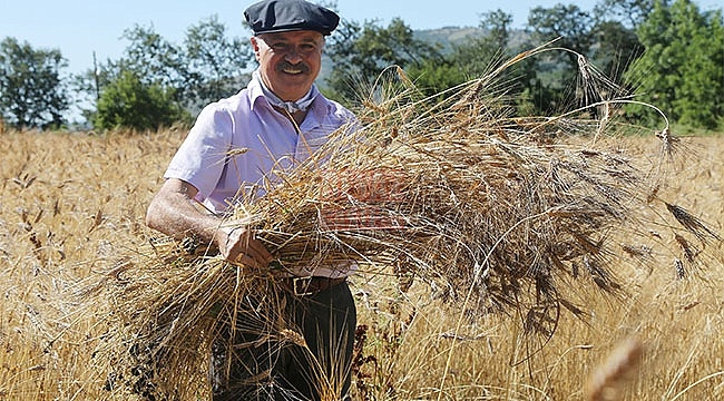 Kırsal Mahallelerde Üretimi Artırıyor