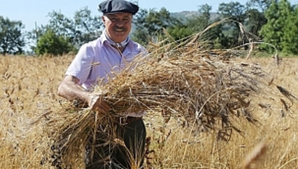 Kırsal Mahallelerde Üretimi Artırıyor