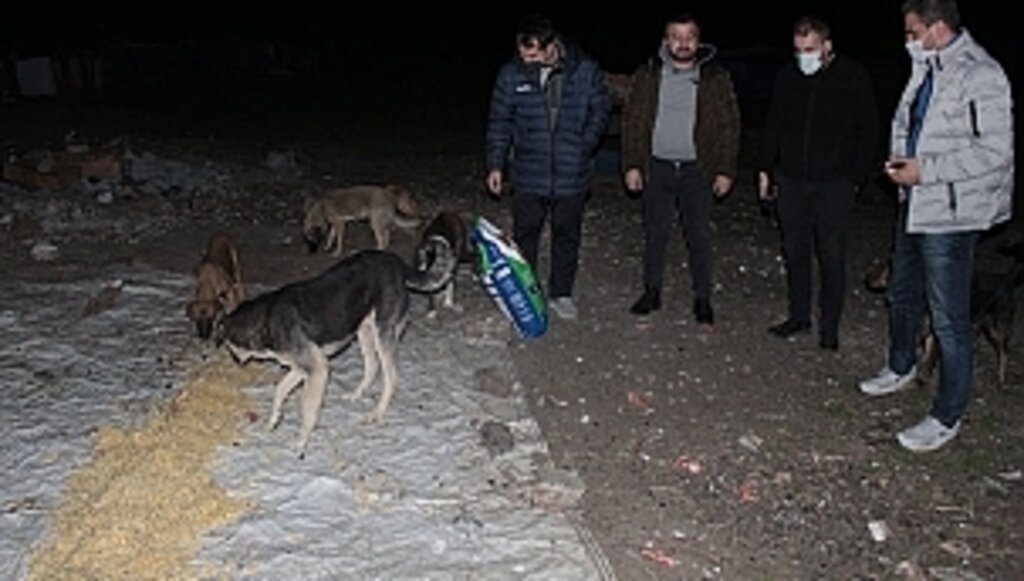 Yeni Yıla Can Dostlarla Girdiler