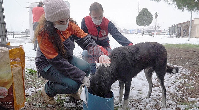 Büyükşehir Can Dostlarını Unutmadı