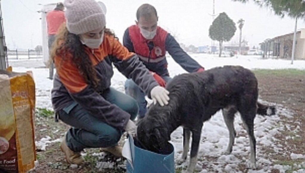 Büyükşehir Can Dostlarını Unutmadı