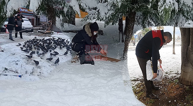 Kar Yağışı Sonrası Can Dostları Unutulmadı