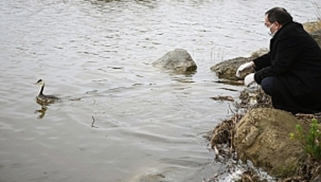 'Bahri' Ait Olduğu Yerde