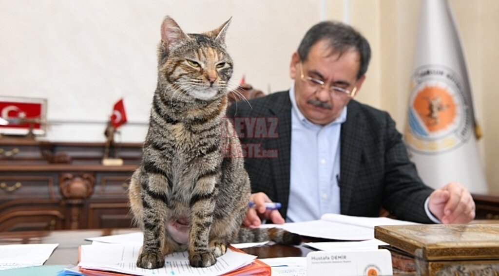 Başkanlık Katının Maskotu 