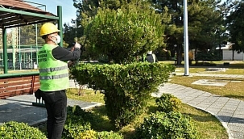 Cennet Gibi Bir Samsun