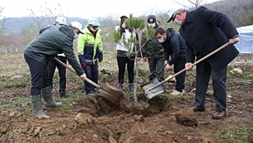 Fatsa'da 160 Fidan Toprakla Buluştu