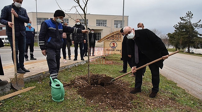 Kurupelit Yerleşkesi Ihlamurlarla Daha da Yeşillenecek 