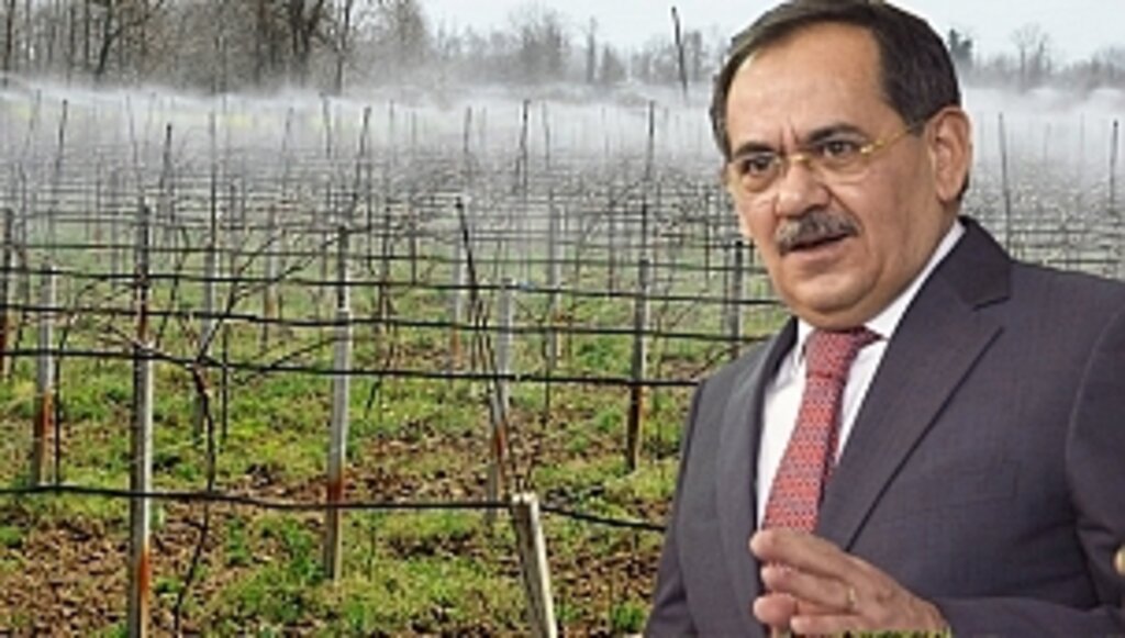 Büyükşehir'den Meyve Üreticilerine Destek