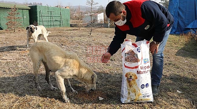 İlkadım Kısıtlama Süresince Sessiz Dostları Unutmadı