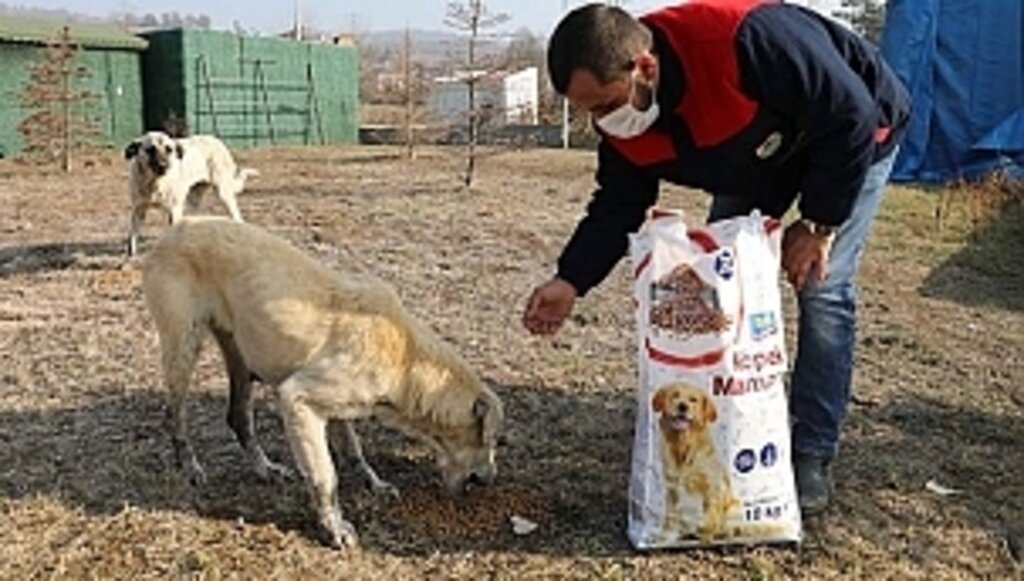 İlkadım Kısıtlama Süresince Sessiz Dostları Unutmadı