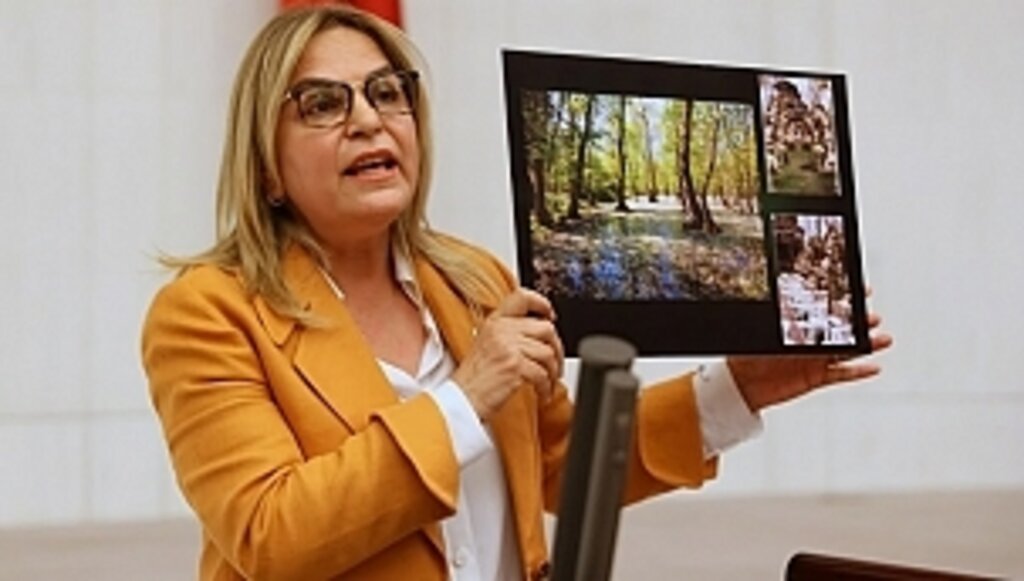 TBMM'de Samsun'un Sorunlarını Anlattı!...
