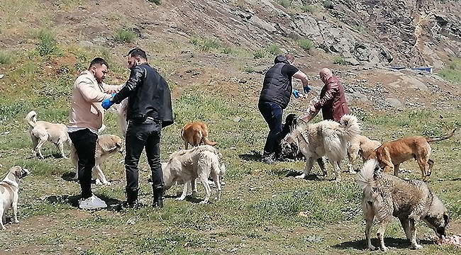 Bayramda da Can Dostlarını Unutmadılar