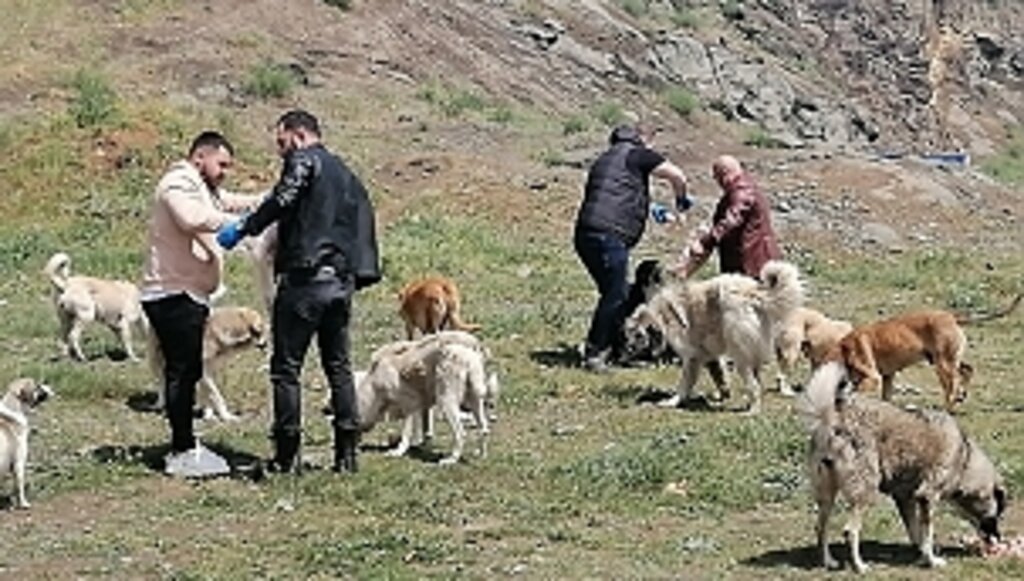 Bayramda da Can Dostlarını Unutmadılar