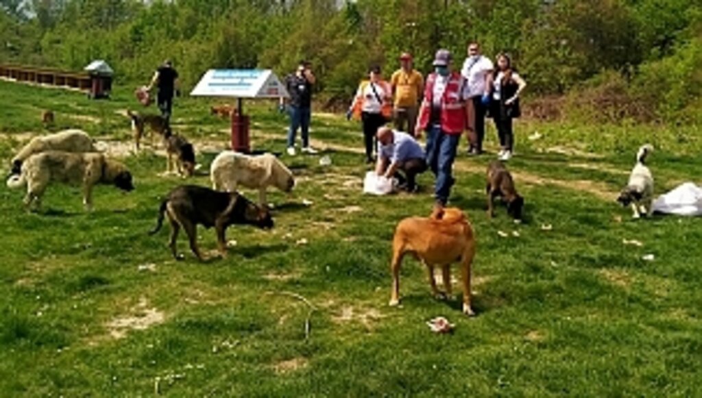 Can Dostlara Gittiler