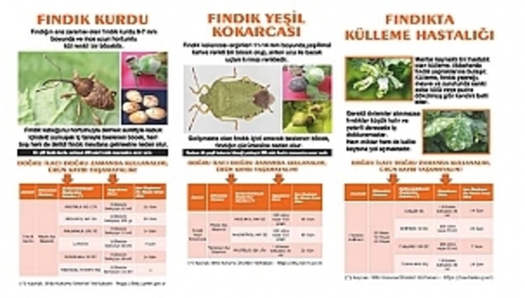 Fındık Zararlıları İle Mücadelede Yeni Seferberlik…