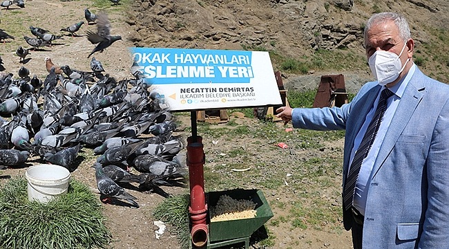 İlkadım'da Hayvan Sevgisine Yasak Yok!