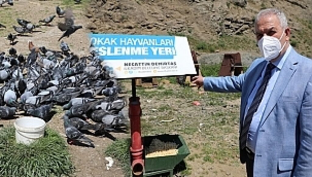 İlkadım'da Hayvan Sevgisine Yasak Yok!