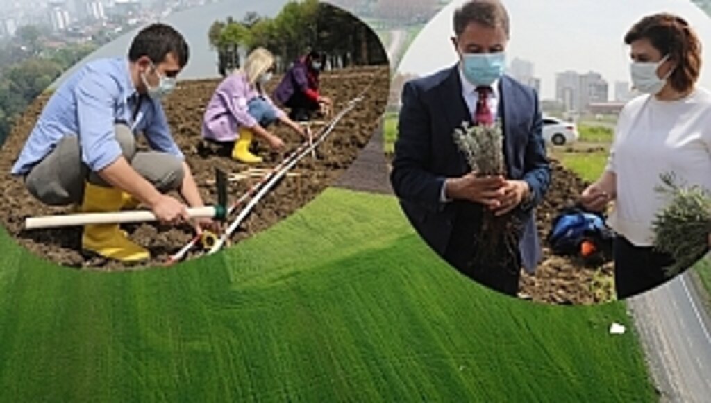 Lavanta Bahçeleri Atakum'a Derin Nefes Aldıracak