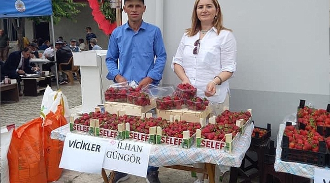 Büyükşehir'den Çiftçilere 'Çilek' Desteği