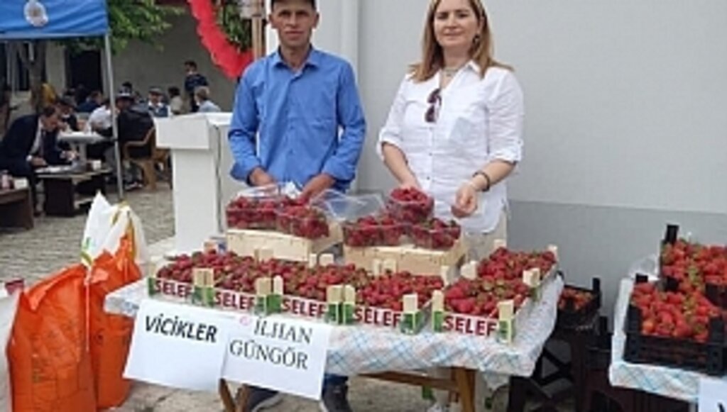 Büyükşehir'den Çiftçilere 'Çilek' Desteği