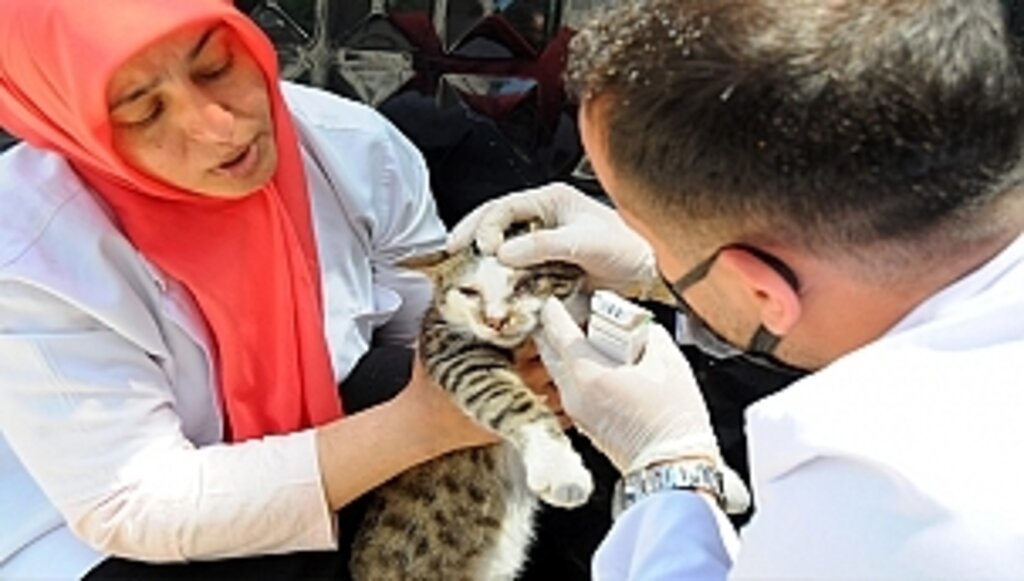 Canik Can Dostlarına Sahip Çıkıyor