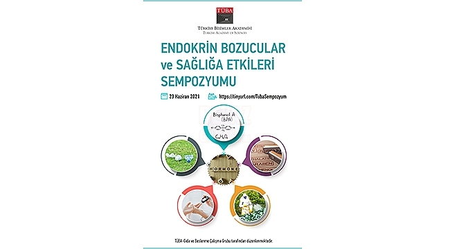 TÜBA'dan Endokrin Bozucular ve Sağlığa Etkileri Sempozyumu