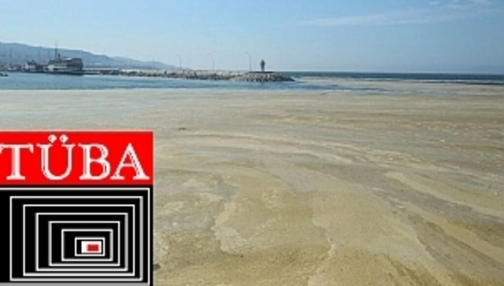 TÜBA Müsilaj-Deniz Salyası Değerlendirme Raporu