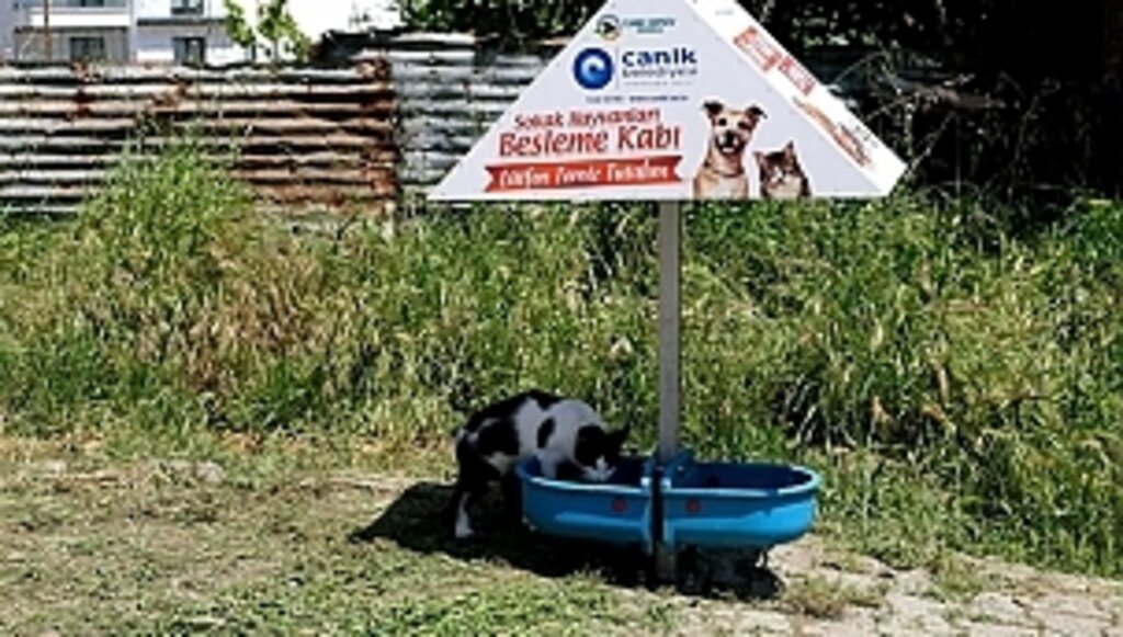 Candostlar İçin Bayram Mesaisi