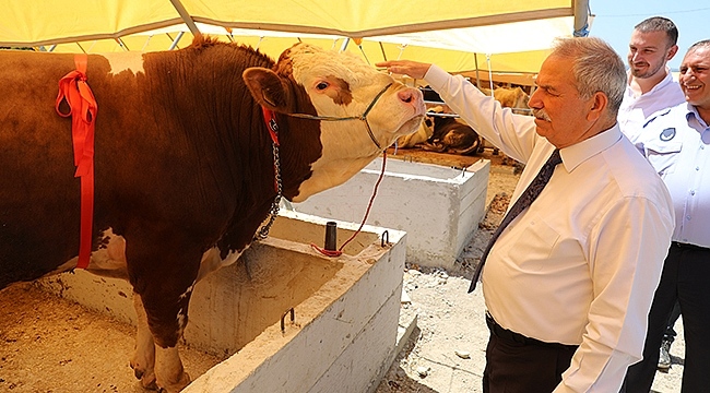 Kurbanlarınızı İhtiyaç Sahiplerine Biz Ulaştıralım